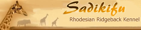 Sadifiku Rhodesian Ridgeback Kennel im DZRR (VDH/FCI)